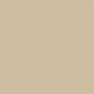 Gạch lát nền Viglacera 60x60 TS5-602