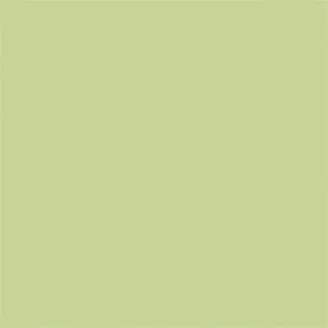 Gạch lát nền Viglacera 60x60 TS5-604