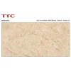 Gạch ốp tường 40x80 TTC Ceramic WB48005